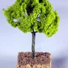 Albero Ad Innesto Senza Base 9Cm