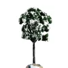 Albero Innevato Piccolo - Balsam Fir Tree, Small