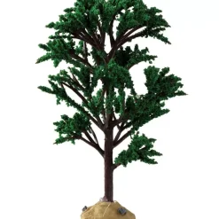 Albero Verde - Green Elm Tree