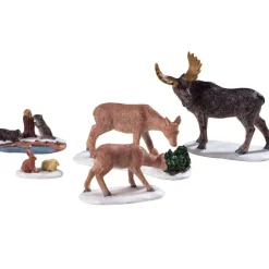Animali Del Parco Curiosi - Wild Animals, Set Of 5