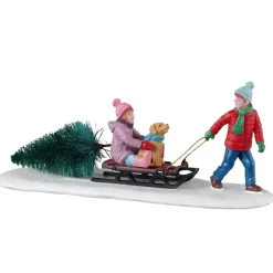 Bambina Con Albero - Bringing Home Our Tree
