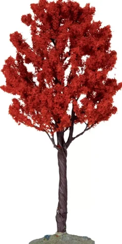 Cipresso Alto - Baldcypress Tree, Large