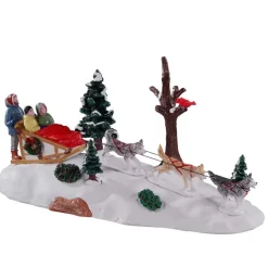 Pomeriggio Con I Cani Da Slitta - Dog Sledding Afternoon