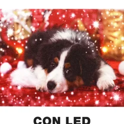 Quadro Natalizio Con Cagnolino 20X15X2.5Cm Con Microled Bianco Caldo