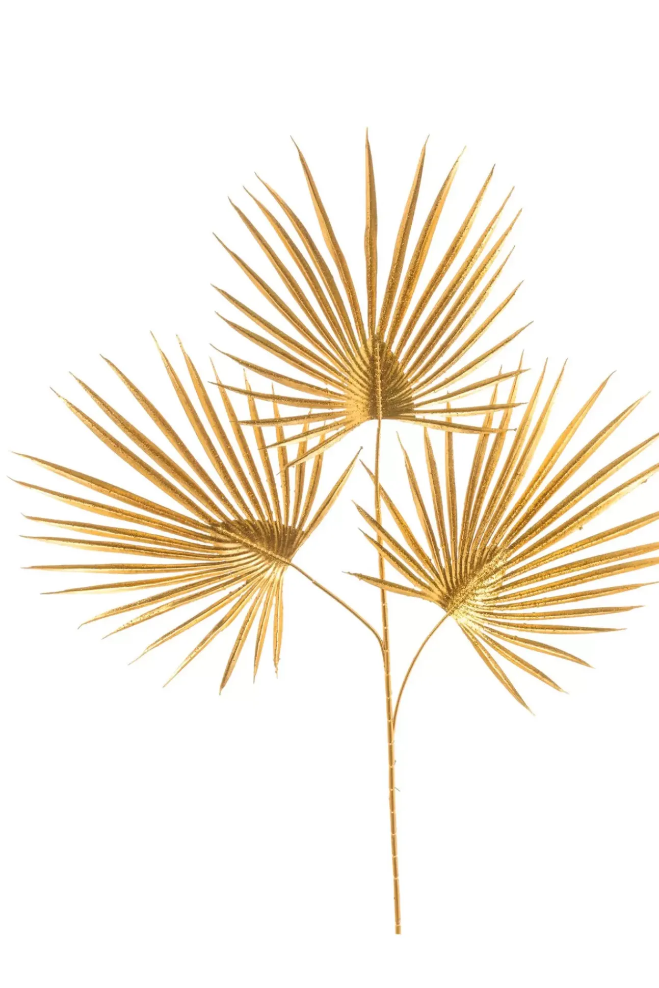 Ramo Camarox Oro 72Cm