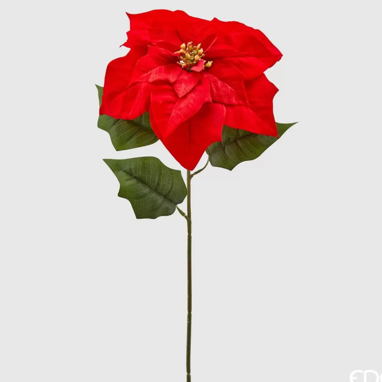 Ramo Con Stella Di Natale Rossa H71Cm