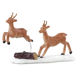 Renne Che Corrono - Prancing Reindeer