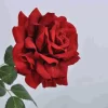 Rosa Decorativa Con Gambo 65Cm Rosso E Verde
