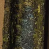 Ruscello In Resina 27X12X5,5Cm