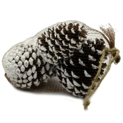 Sacchetto 3 Pz Pigna Innevata