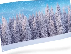 Sfondo Poster Foresta Innevata 150X75Cm