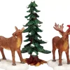 Signor E Signora Moose- Mr. And Mrs. Moose Set Of 3